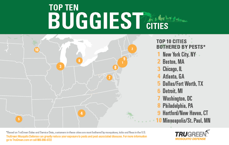 america s buggiest states native pest management